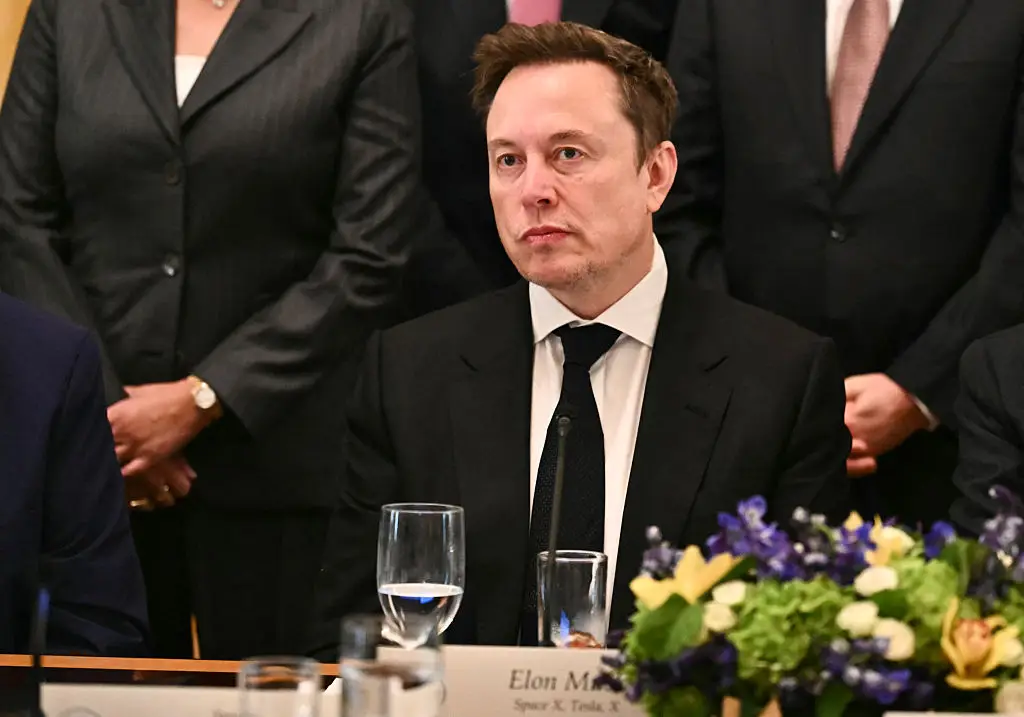 Musk has worked at some of the highest levels of the US government (Photo by Kent NISHIMURA / AFP via Getty Images)