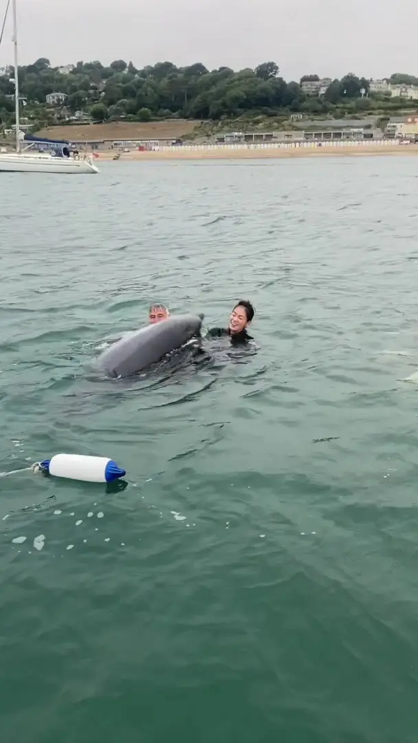 Thankfully, the Dolphin wasn't doing anything weird, just mimicking the family (SWNS)