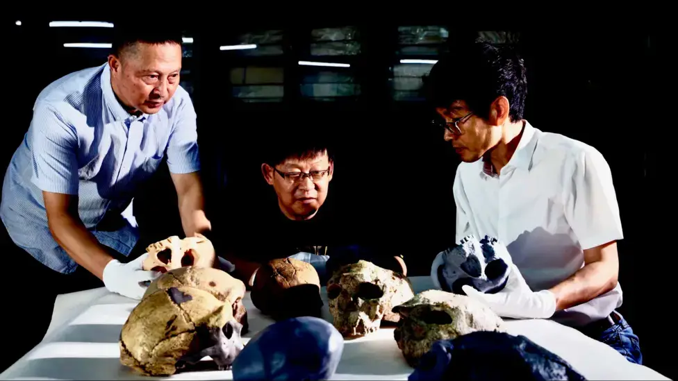The skulls were actually found to be closer to another species, known as Homo longi (Fudan University)