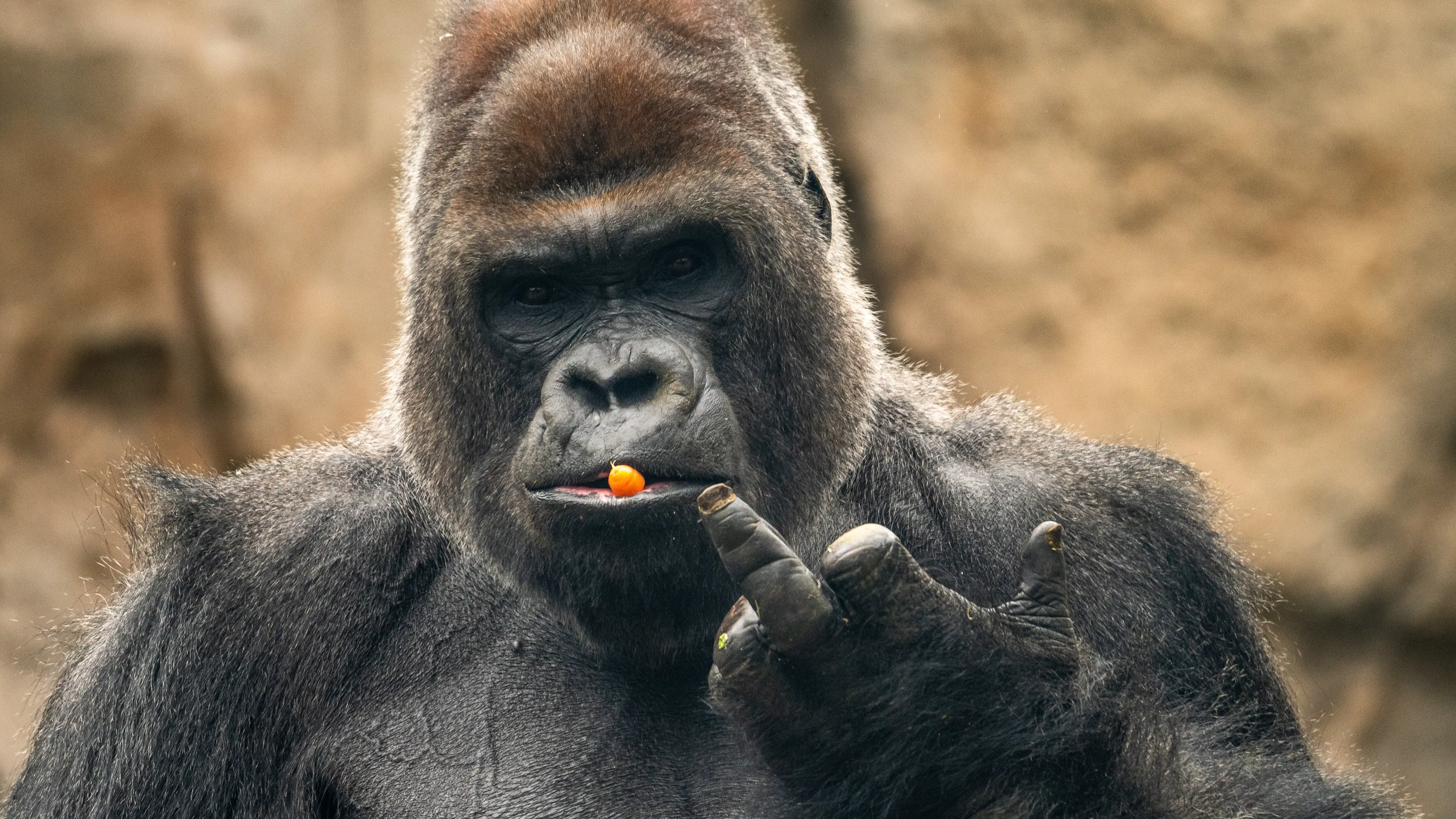 Marcos del Mazo/LightRocket via Getty Images