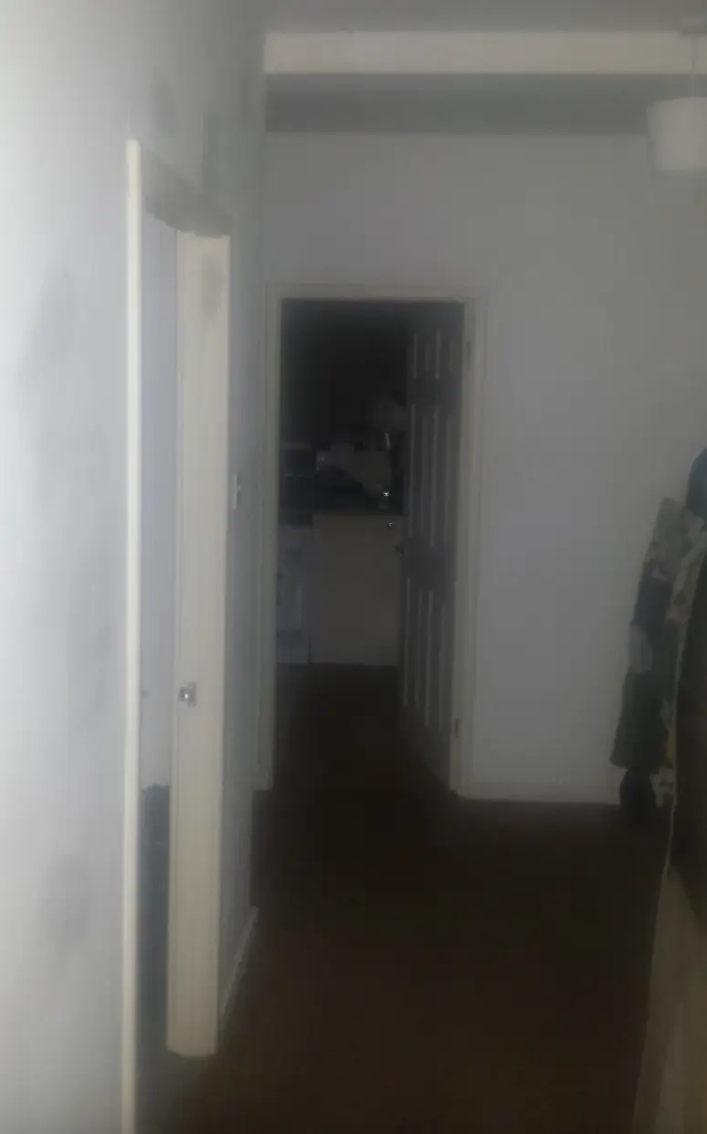 Do you see it? (Reddit)