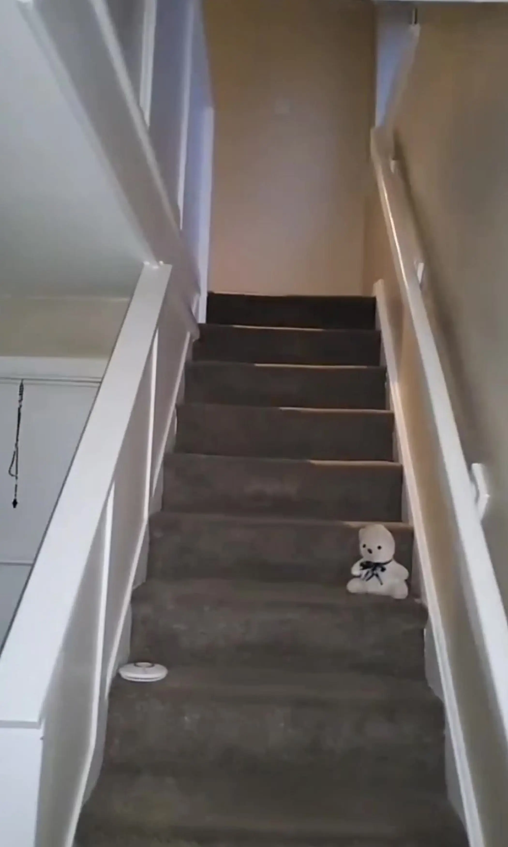 Lee said Lauren was 'really frightened'.