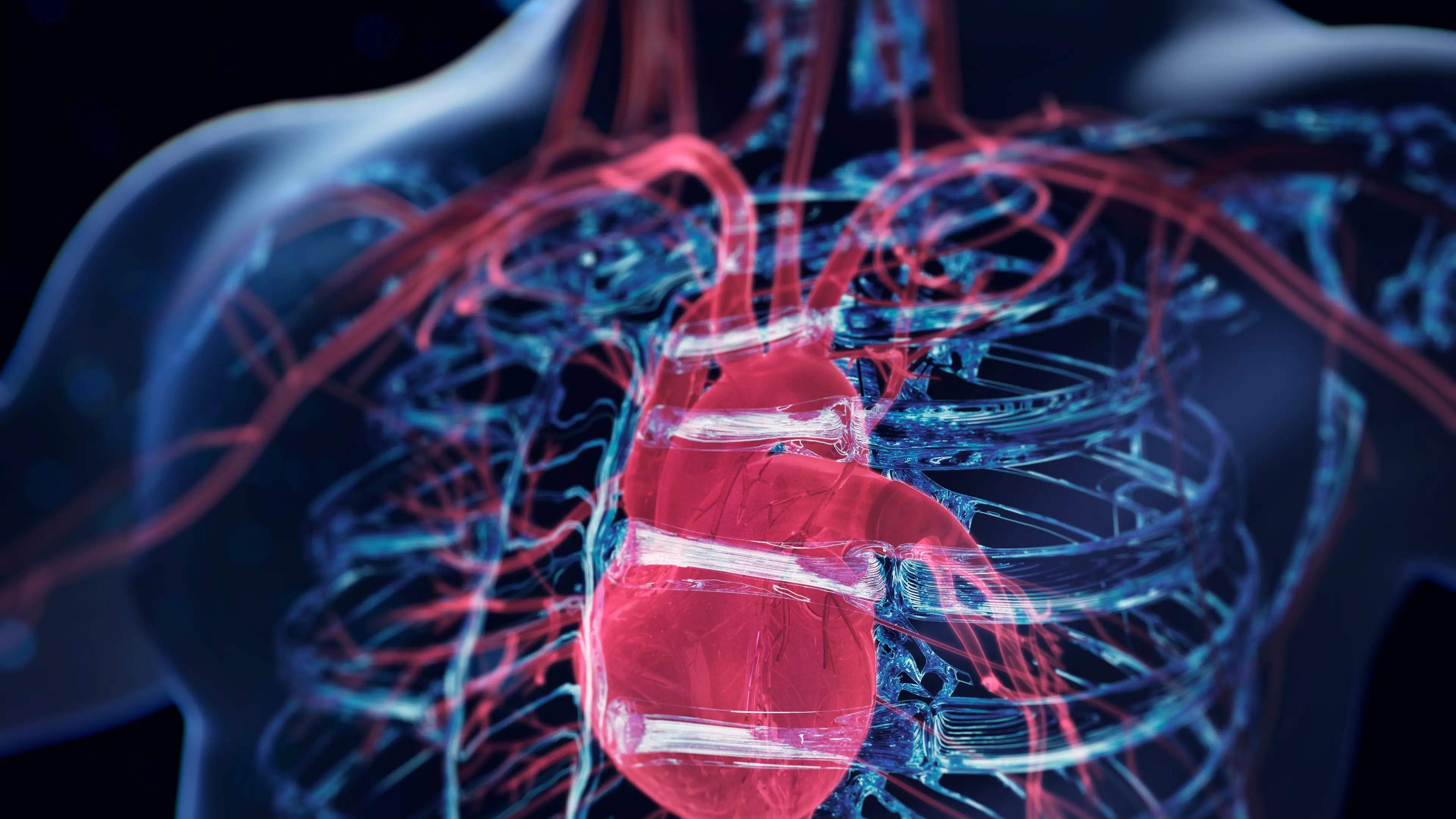 getty/yuichiro chino