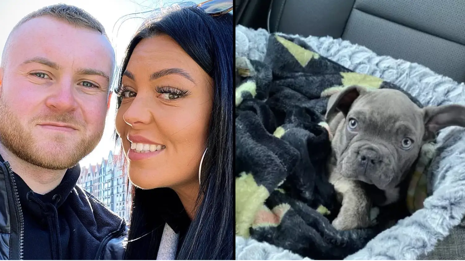 Man whose dog was cremated by kennel he left him in shares list of red flags in the incident