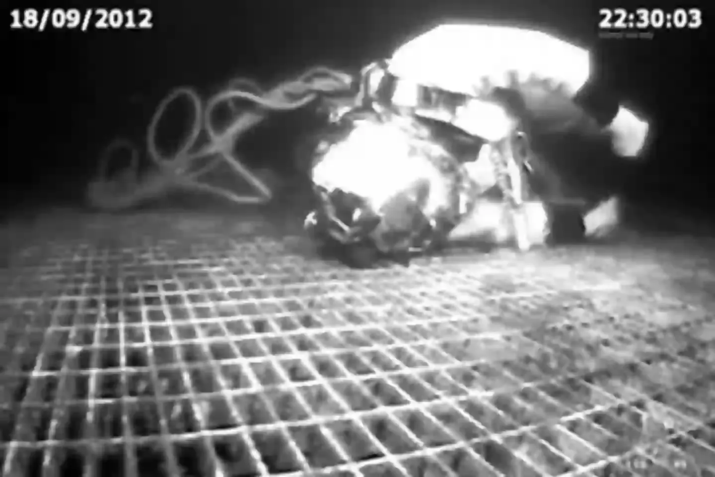 Lemons' heroic colleagues managed to track him down and rescue him (Dogwoof)