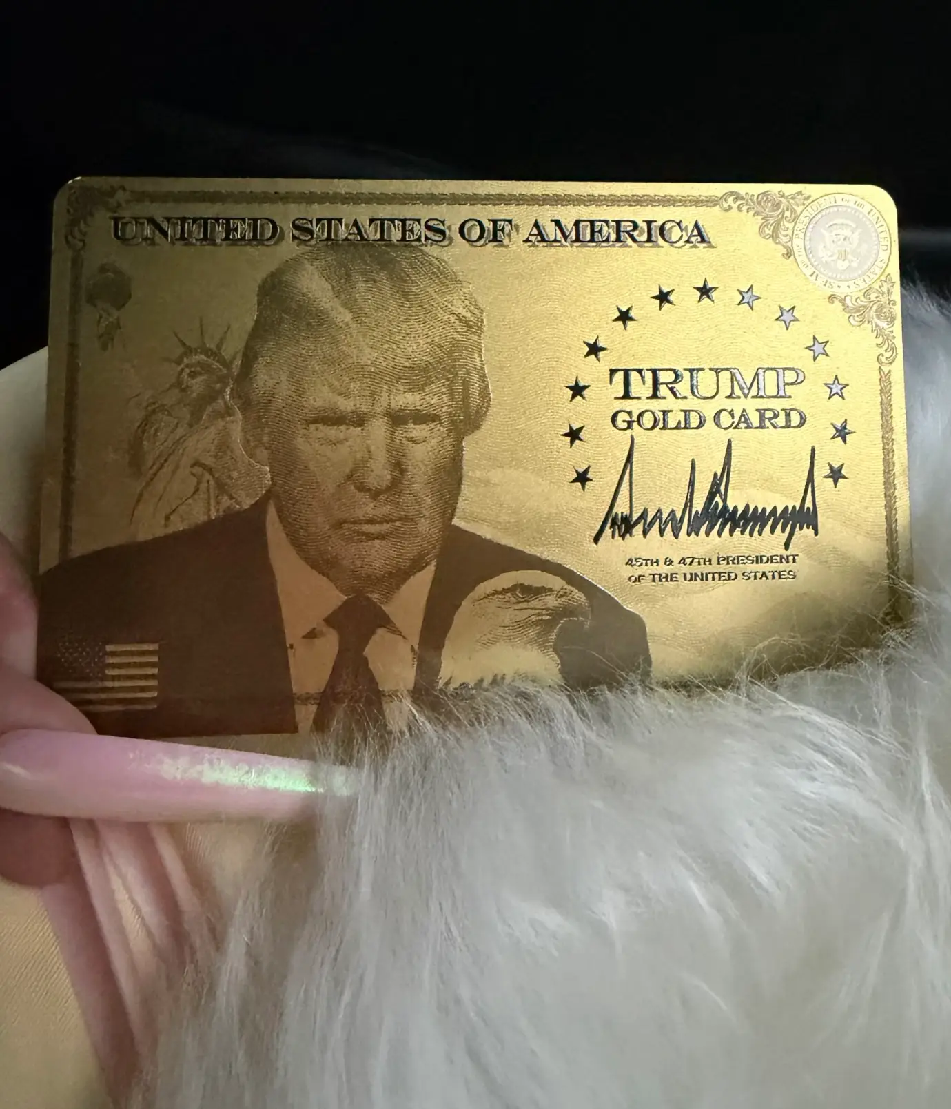The artist was happy to share her capture of Trump's gold card (X/Nicki Minaj)