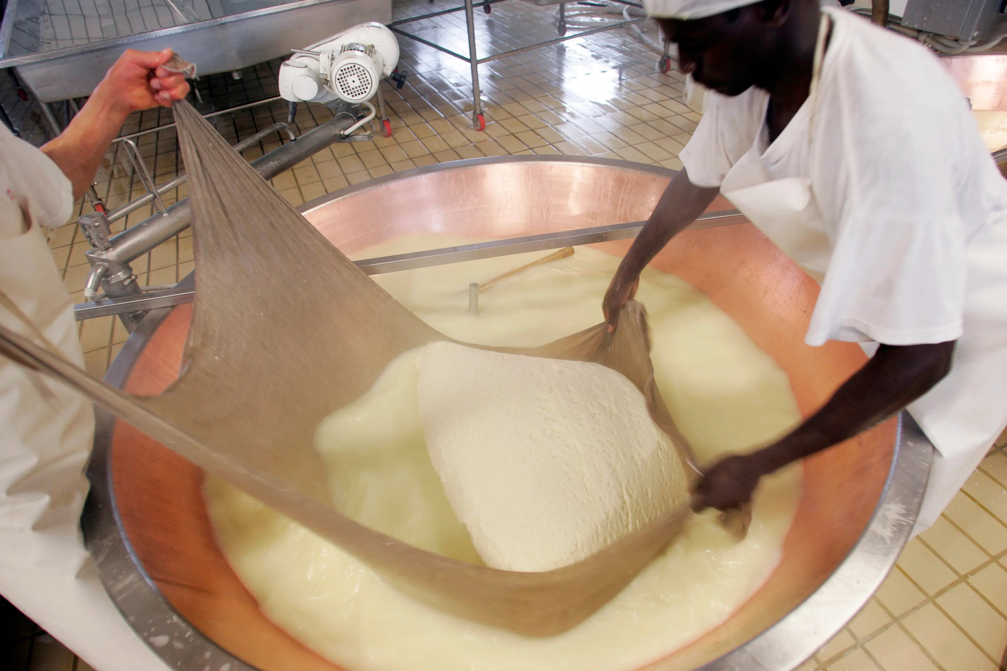 Parmesan being made in a factory (Porter Gifford/Corbis via Getty Images)