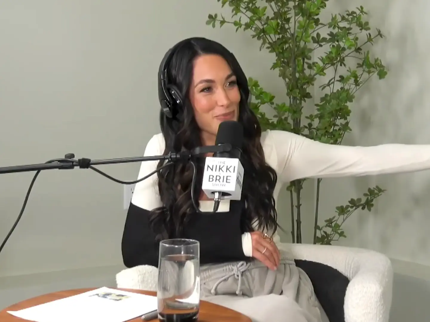 The star ended up in hospital for a totally different reason to her WWE injury. (Nikki and Brie/YouTube)