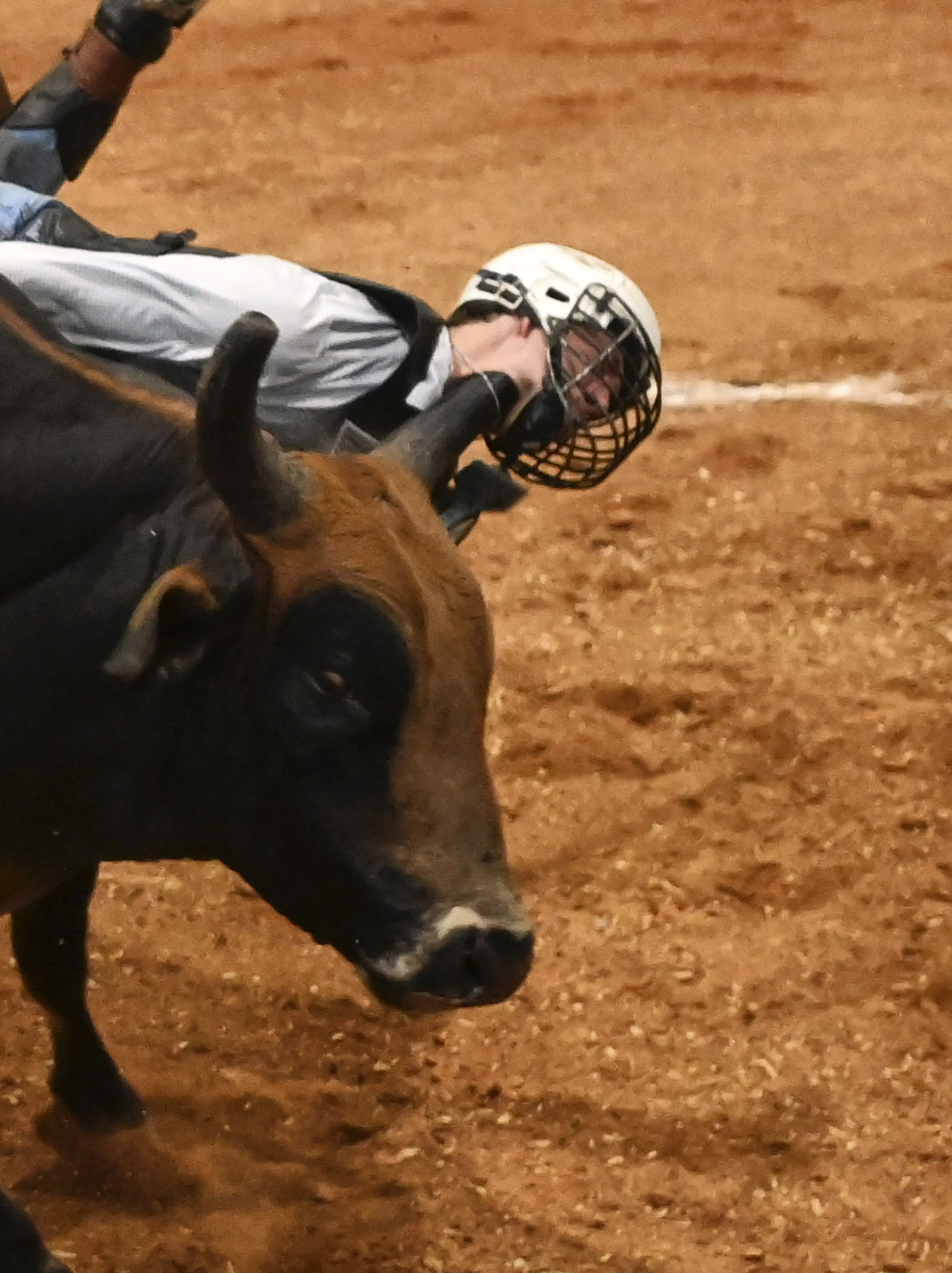 The bull horn went three inches into his neck (Billy D Photography)