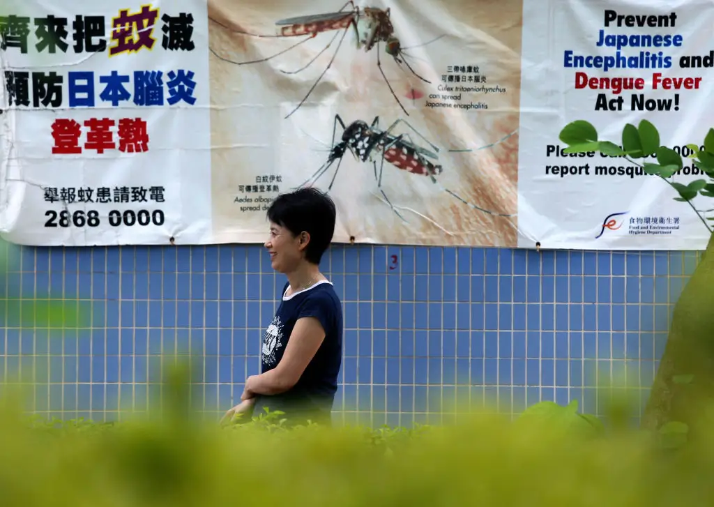 Japanese encephalitis affects around 100,000 people each year (K. Y. Cheng/South China Morning Post via Getty Images)