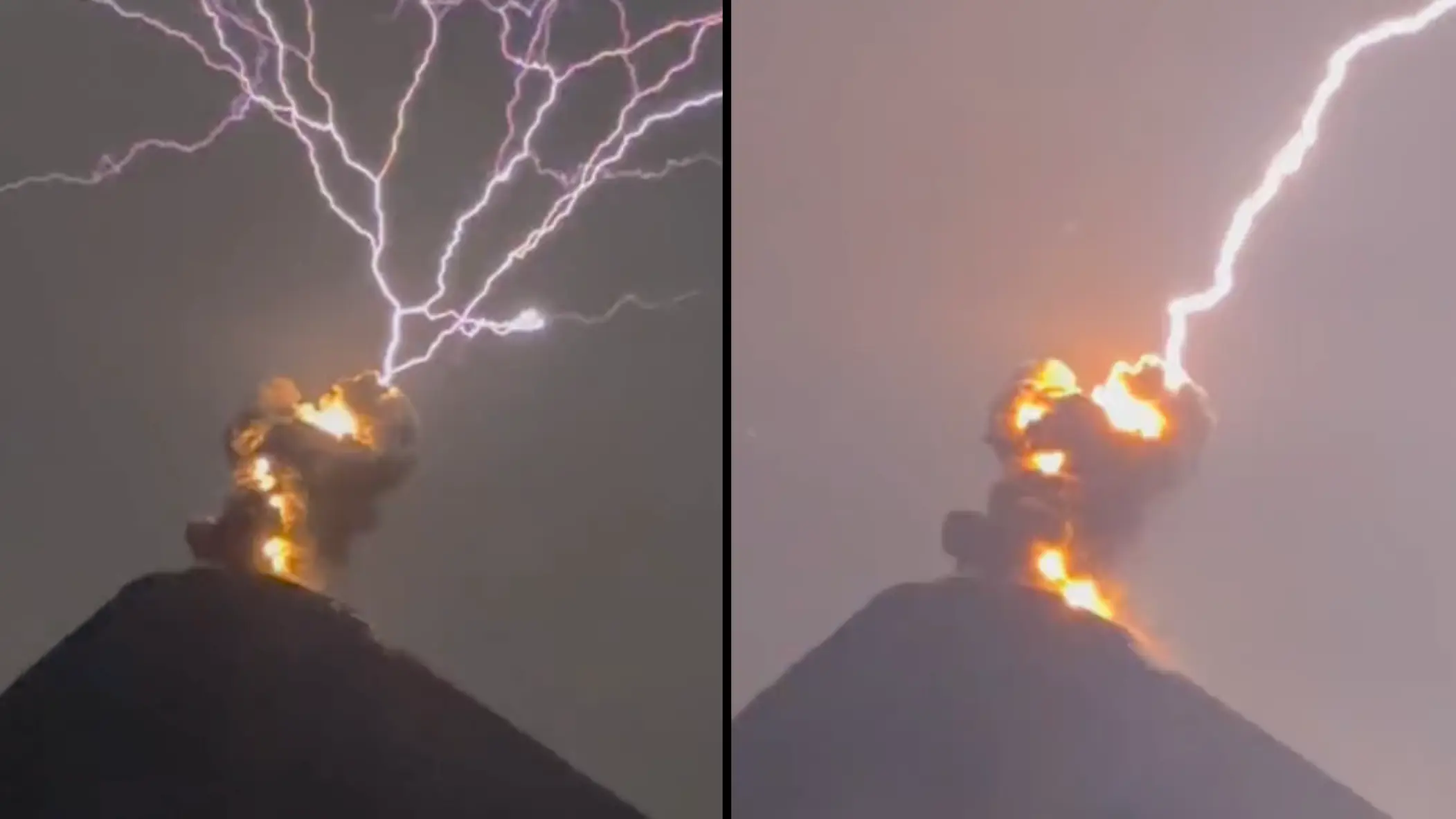 TikTok/@brown_watermelon