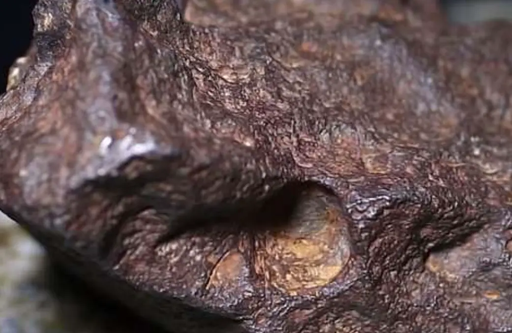 The rock fell out of the sky. (Central Michigan University)