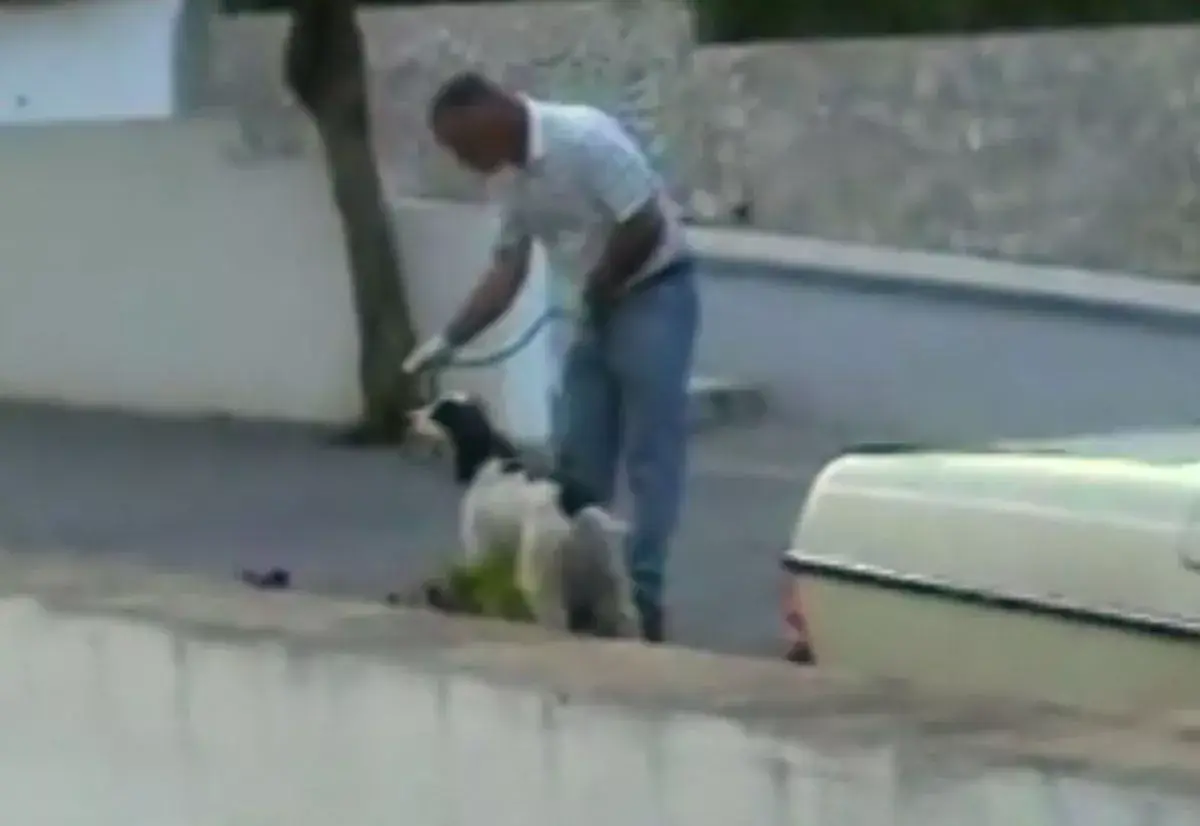 The dogs trawled through the Praia Da Luz apartment the McCann's has been staying in (Netflix)