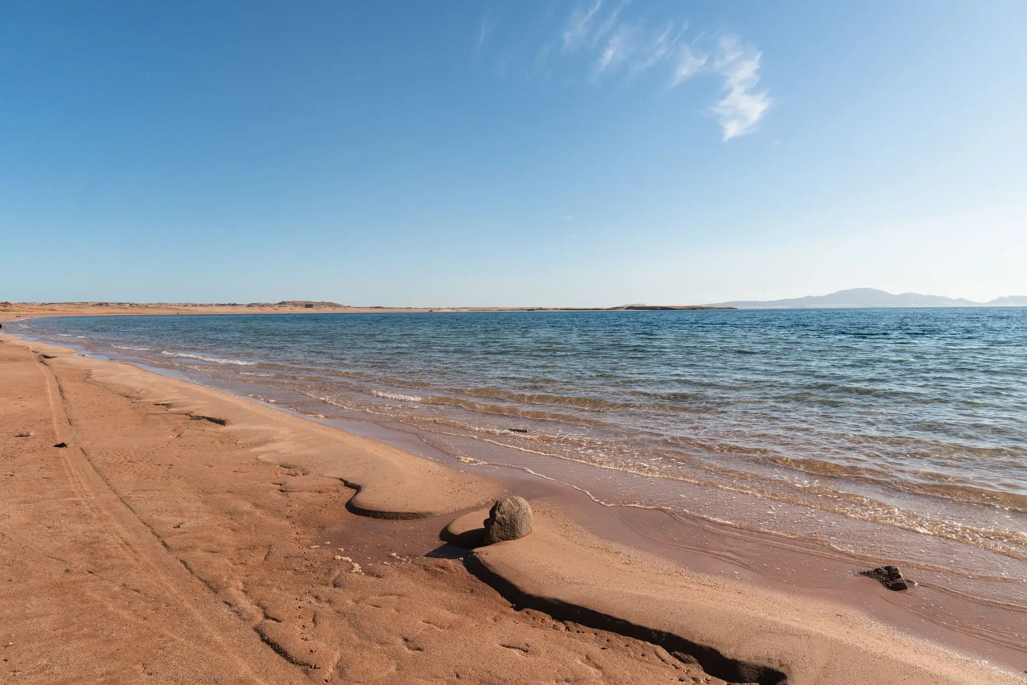 The Red Sea is teeming with marine life, but not everywhere, not right at the bottom. (Getty Stock Photo) 