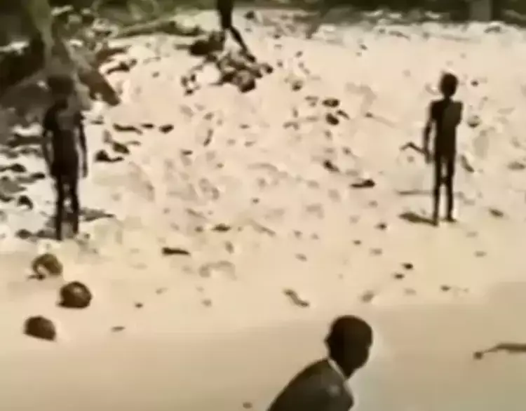 The hunter gatherers live on a small island - about the size of New York's Manhattan Island - situated in the Indian Ocean.