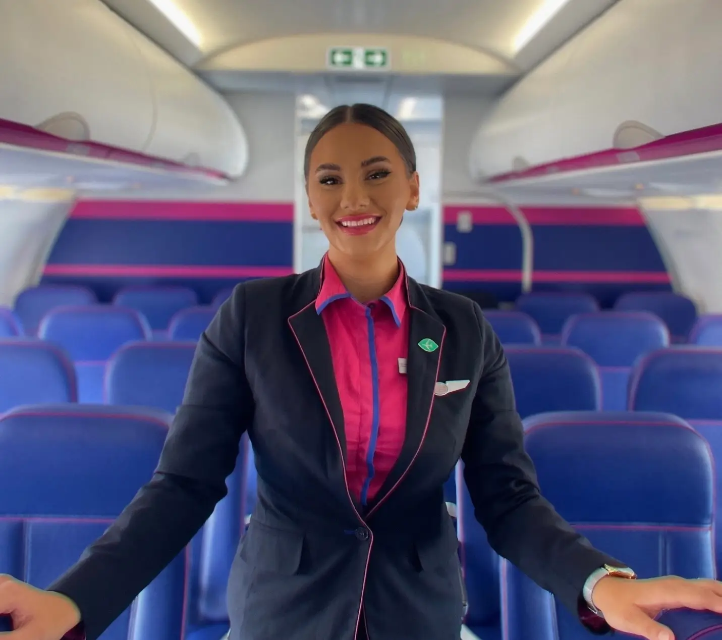 The flight attendant explained airline staff are weighing up whether people are fit to fly or not (TikTok/@ioanaiachim)