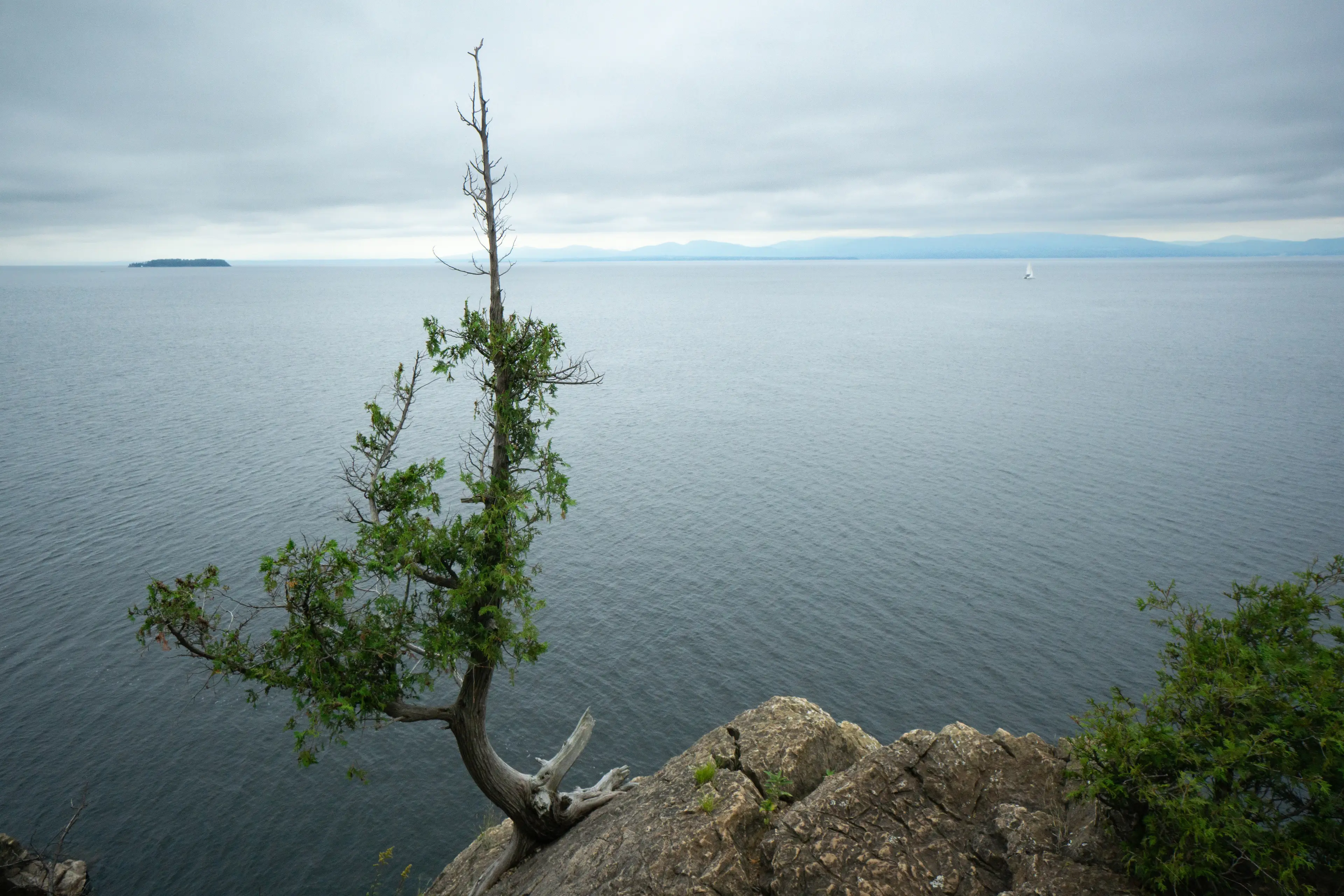 The wreckage was found at the bottom of Lake Champlain, near the airport where the plane took off and close to where contact was lost with it. (Marli Miller/UCG/Universal Images Group via Getty Images)