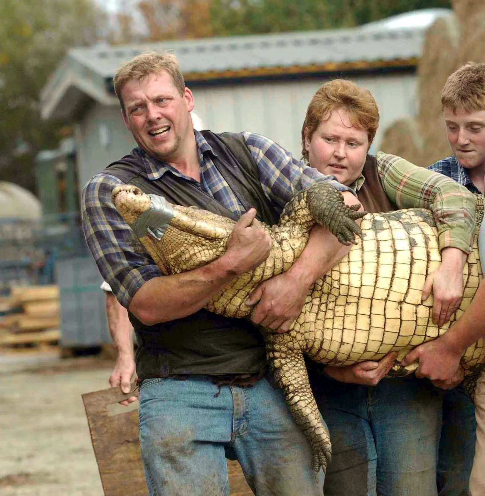 Tracey Johnson (centre), wife of zoo owner Andy Johnson, who heroically rushed to the boy's aid (SWNS)