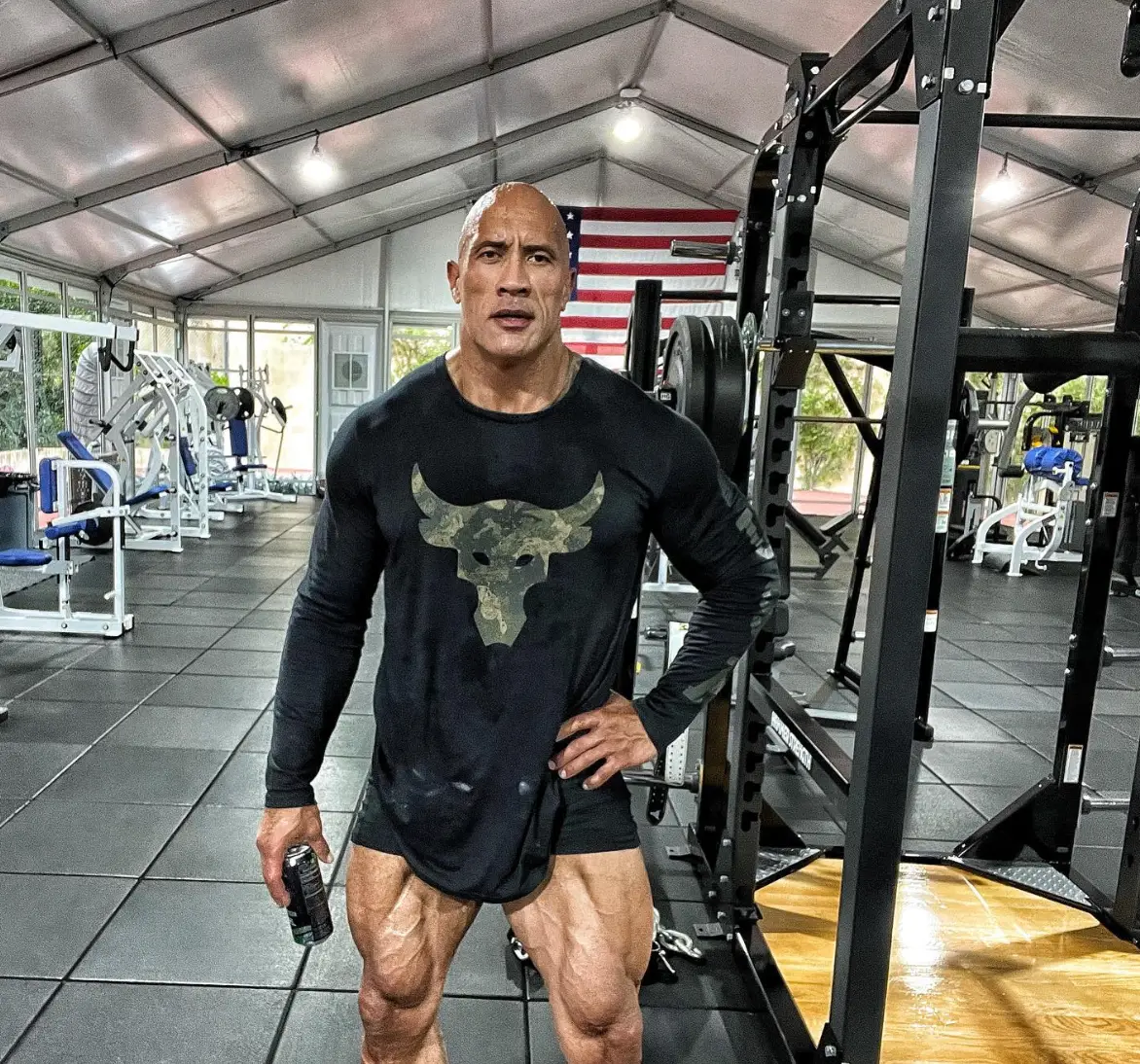 Joe Rogan has accused Dwayne Johnson of using steroids to enhance his physique.