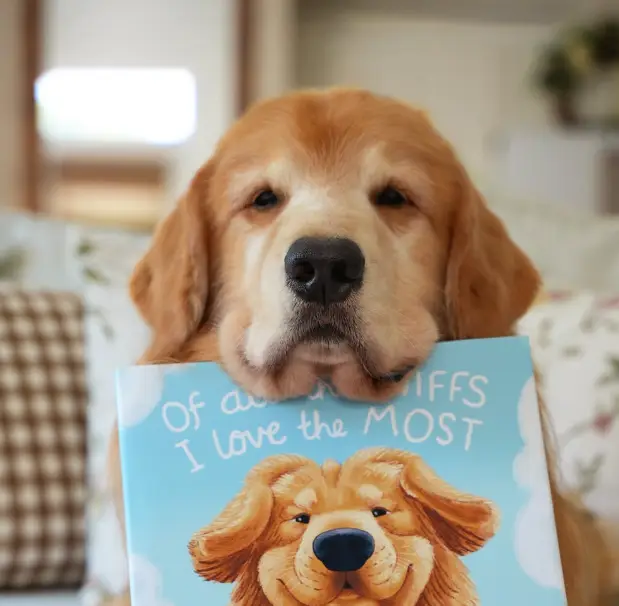 Tucker has died after a short battle with cancer (Instagram/tuckerbudzyn)