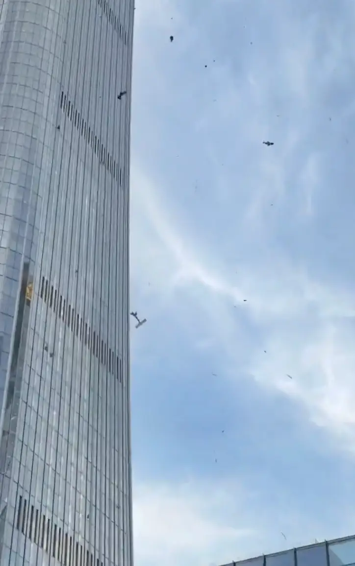 Posts remaining online show the plane falling from the sky. (X)