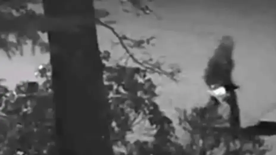 Lake Oswego Police Department