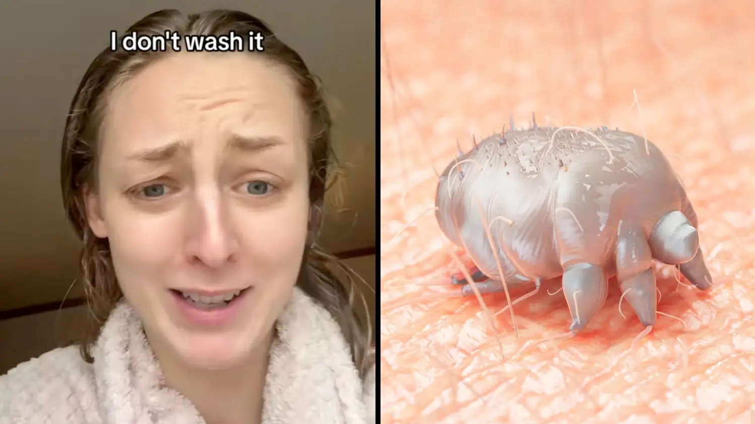 TikTok/@/homienaledi/Getty/SCIEPRO/SCIENCE PHOTO LIBRARY