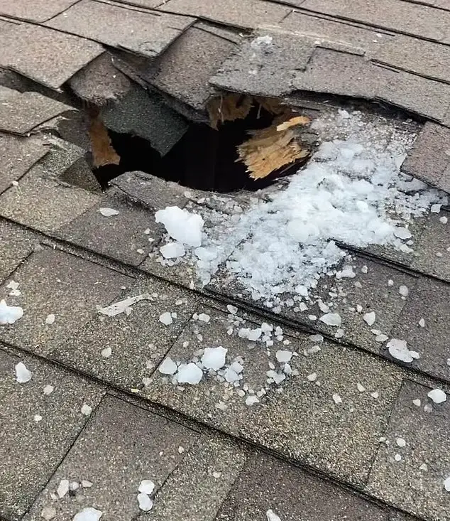 The 'basketball-sized' chunk of ice ripped a hole in the roof of the goat shed. (KUTV 2News)