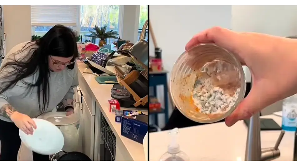 TikTok/@healing_saddie