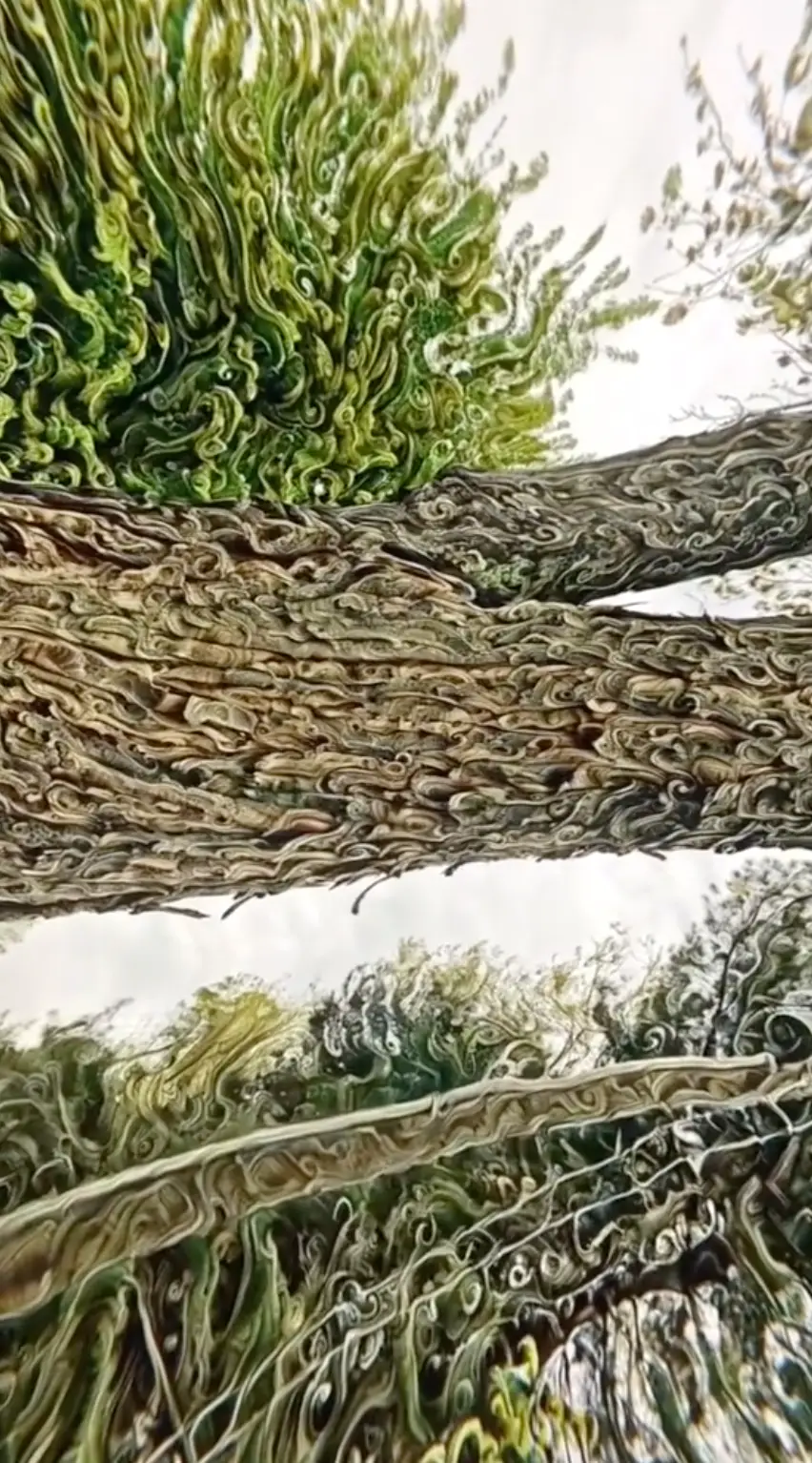 A tree looks almost unrecognisable.