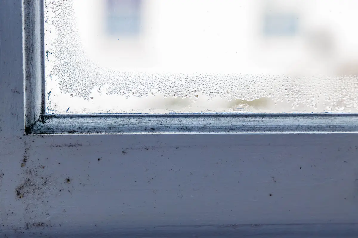 You should put more salt by bigger windows (Getty Stock Photo)
