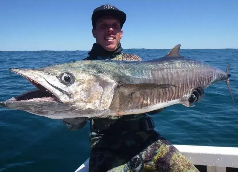 38-year-old father Steven Mattaboni died from his injuries after being attacked by a shark(Facebook)
