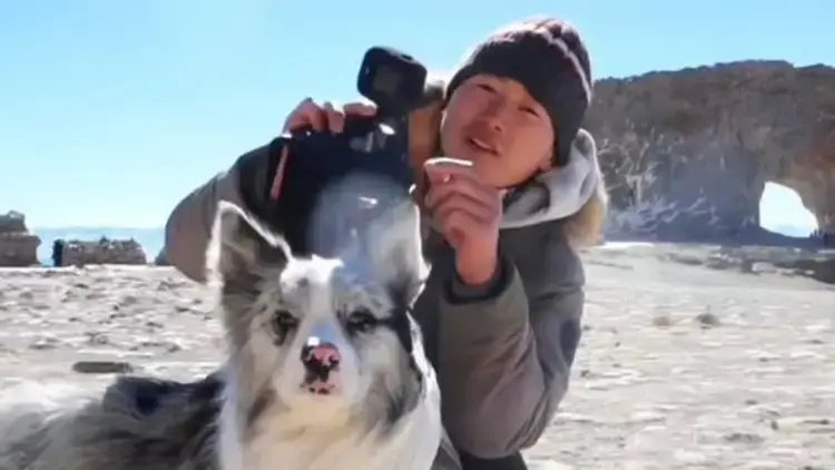 Guo is seeking legal routes to punish the alleged thieves he believes stole and sold his pet dog for meat (Douyin)