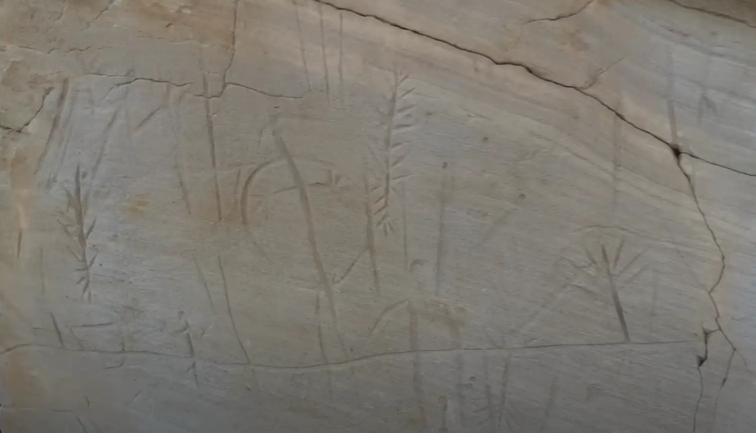 Some of the petroglyphs the YouTuber discovered (YouTube/Desert Drifter)