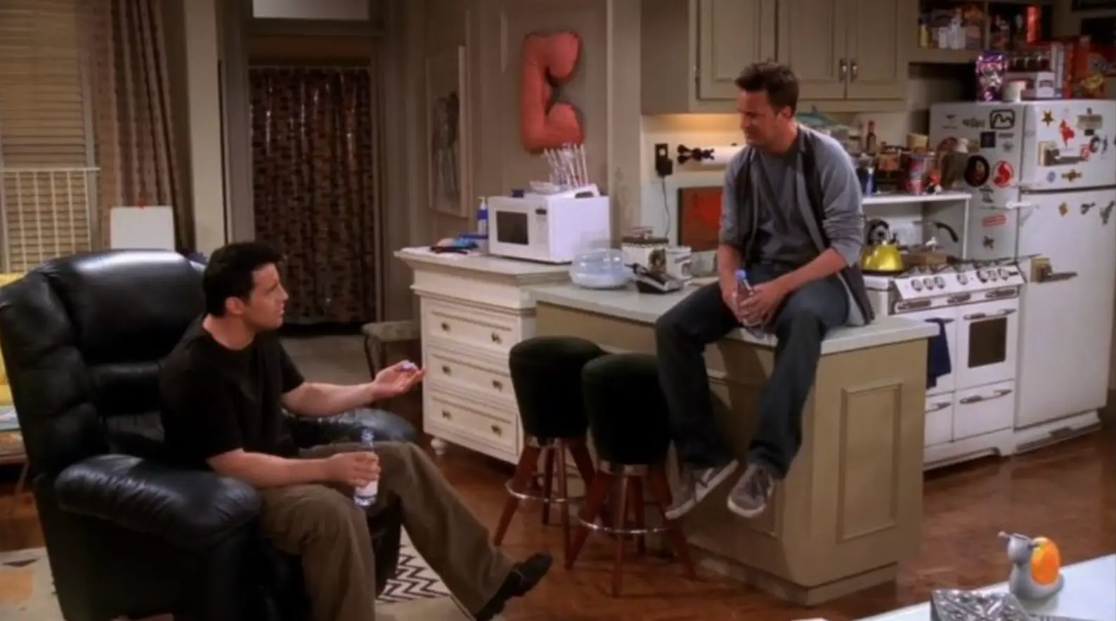 Shenanigans, sometimes chick and duck related, took place in this duo's apartment (NBC)