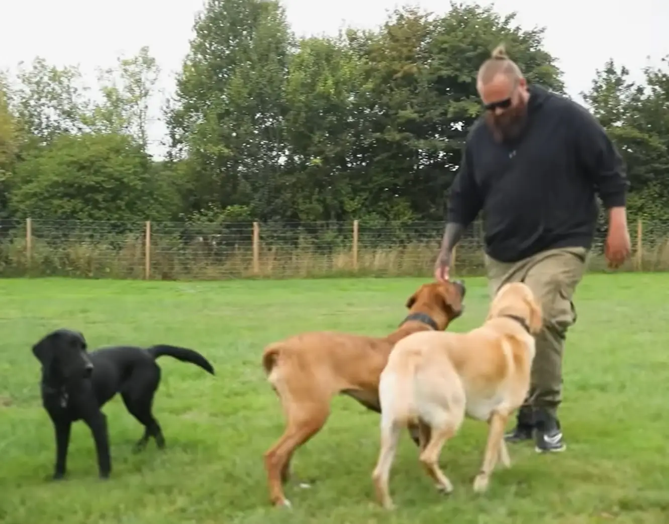 The dog expert said there was one big mistake people made when taking their dog to the pub.