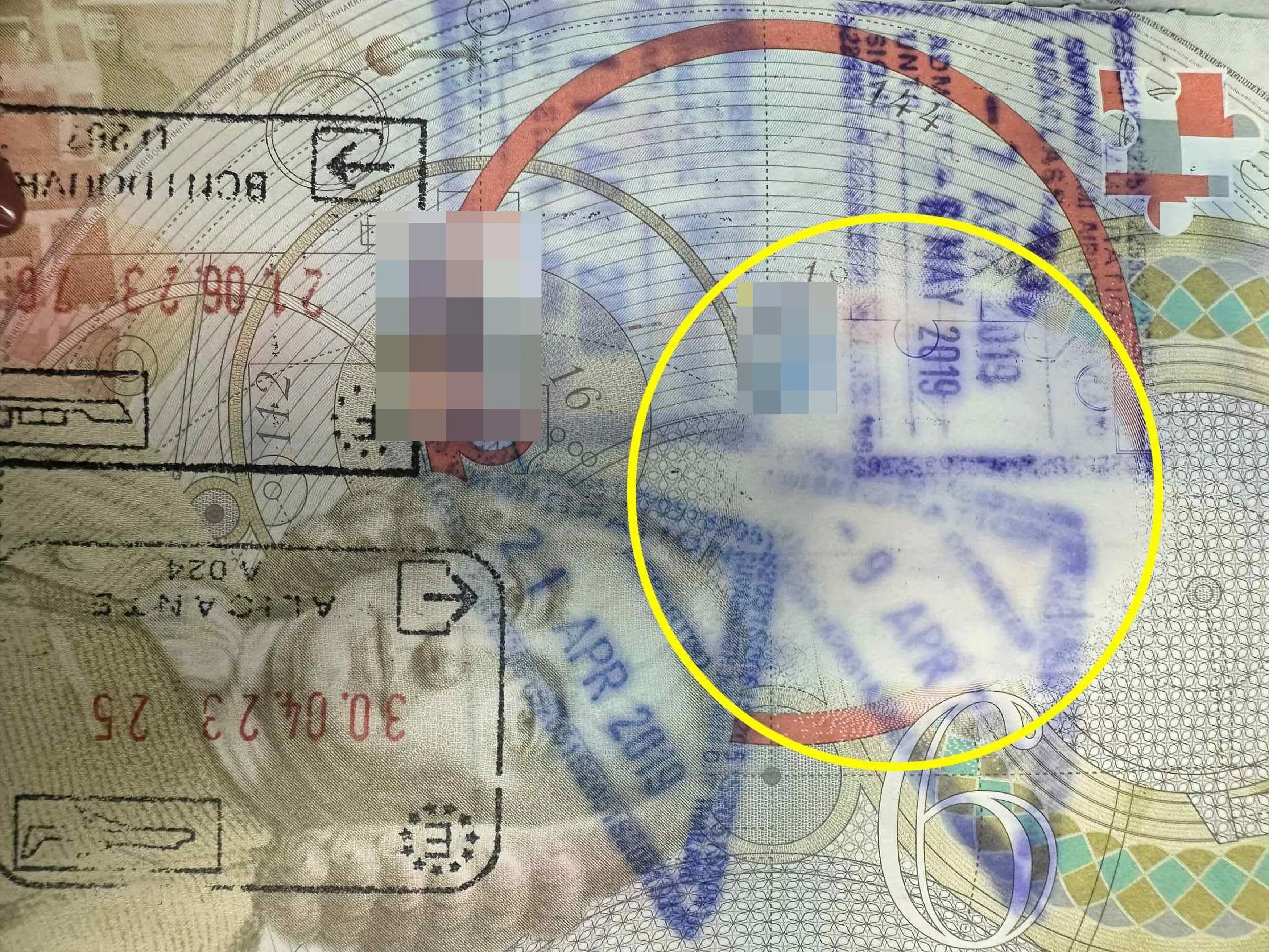 Josh said he has been able to travel '12 times in 11 months' with the passport (Kennedy News and Media)