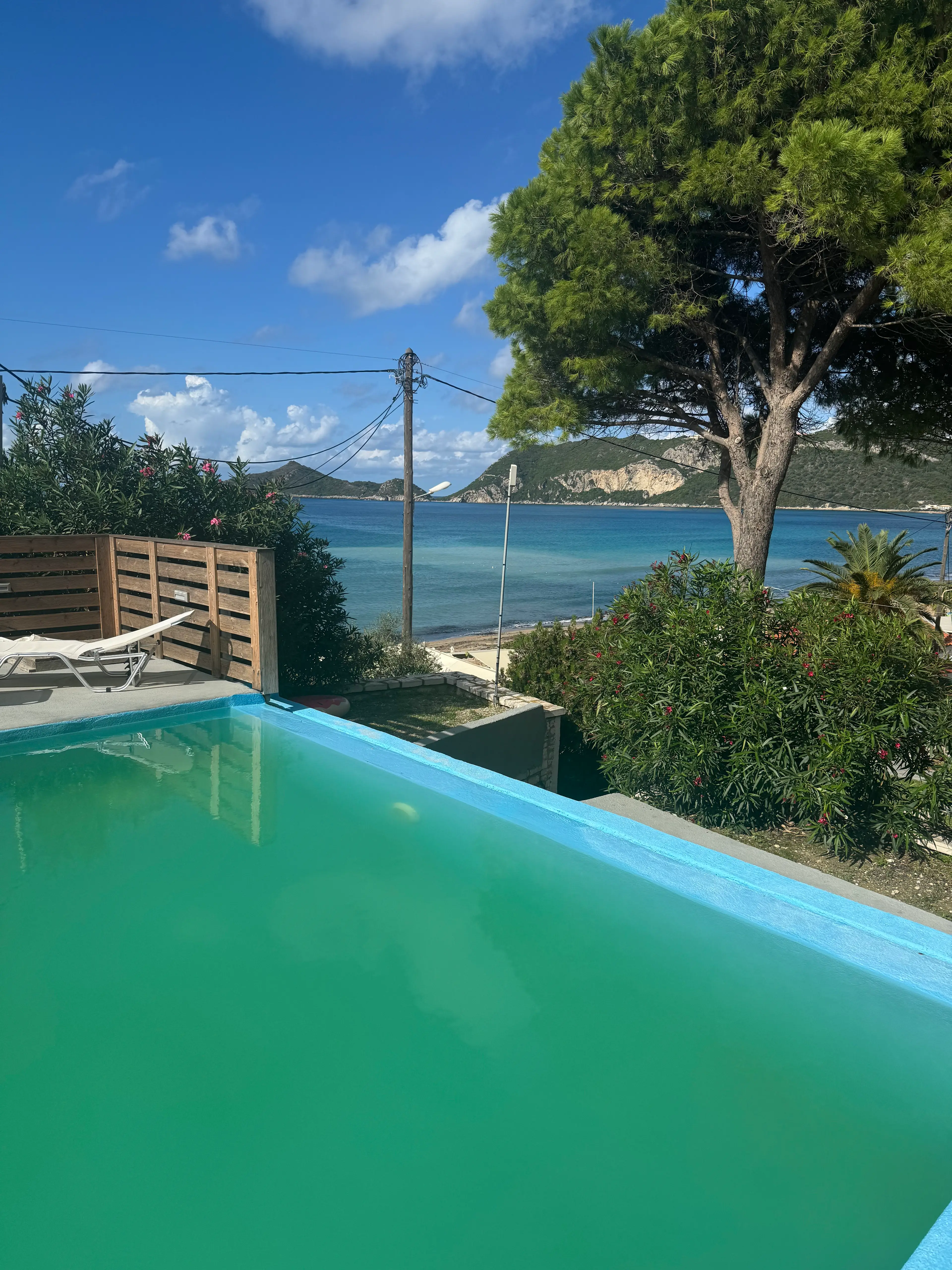 Photos supplied to LADbible by Lewis and Chris showing a clouded swimming pool and ant infestation at the hotel (Supplied)