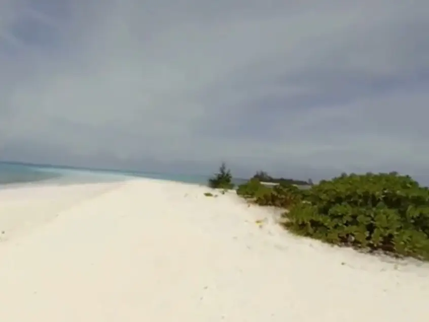 This is what the simulation showed before the bomb went off.