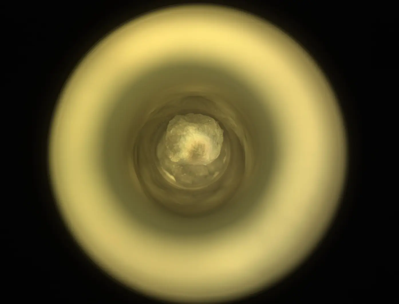 The Silver Mountain rock sample (NASA)