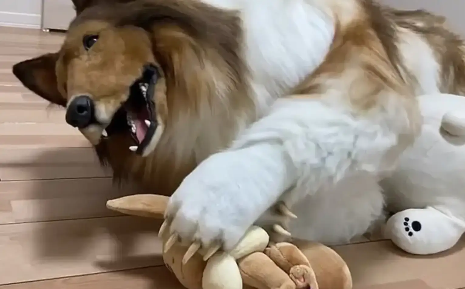 Fair play, being a dog does look fun.