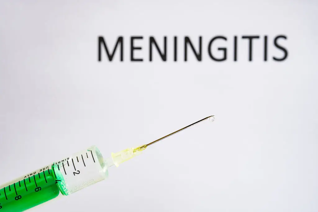 Close contacts of those affected are being treated with antibiotics (Frank Bienewald/LightRocket via Getty Images)