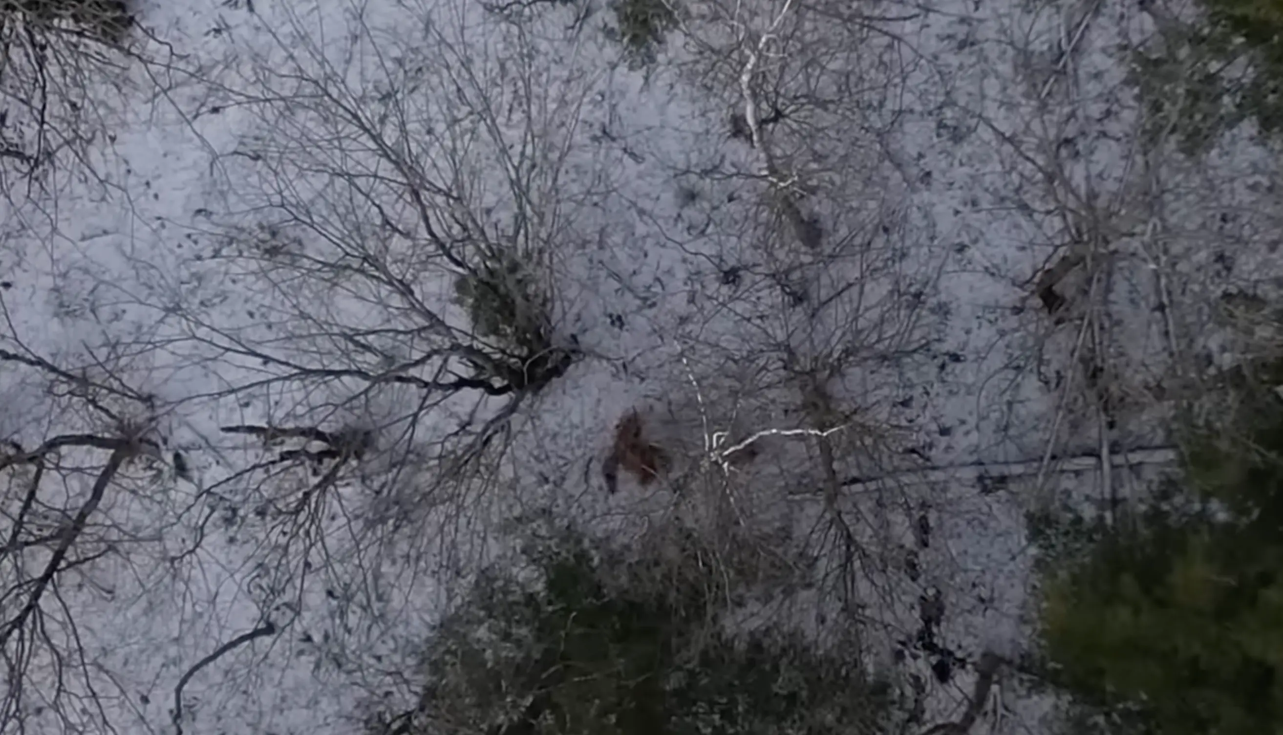 Ken acted shocked after the sighting.