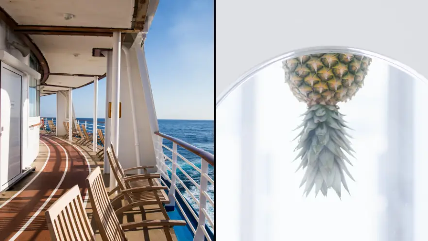 Couple who use 'secret upside down pineapple symbol' on cruises reveal what they get up to