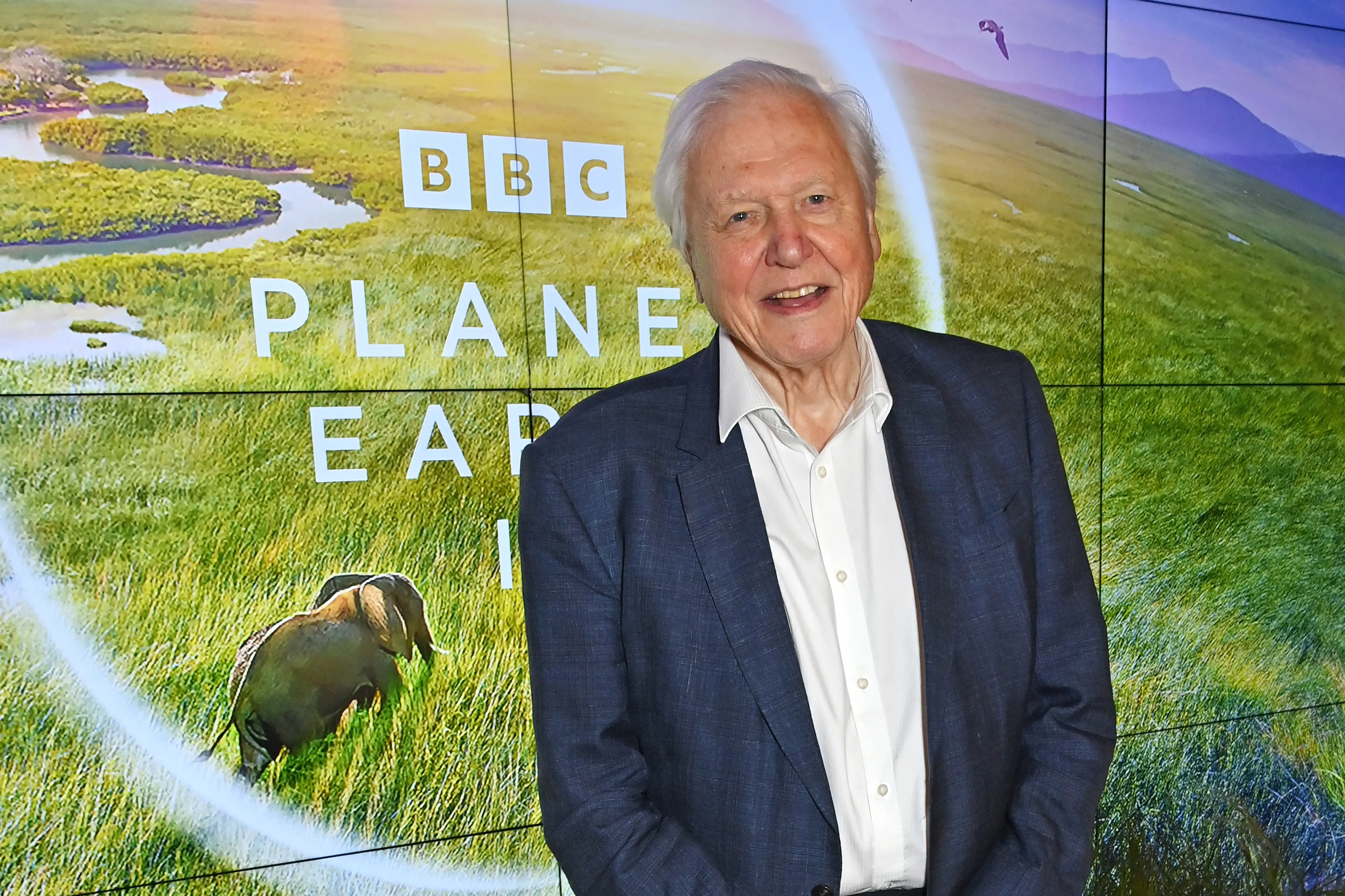 Attenborough's career has spanned more than 70 years (Dave Benett/Getty Images)
