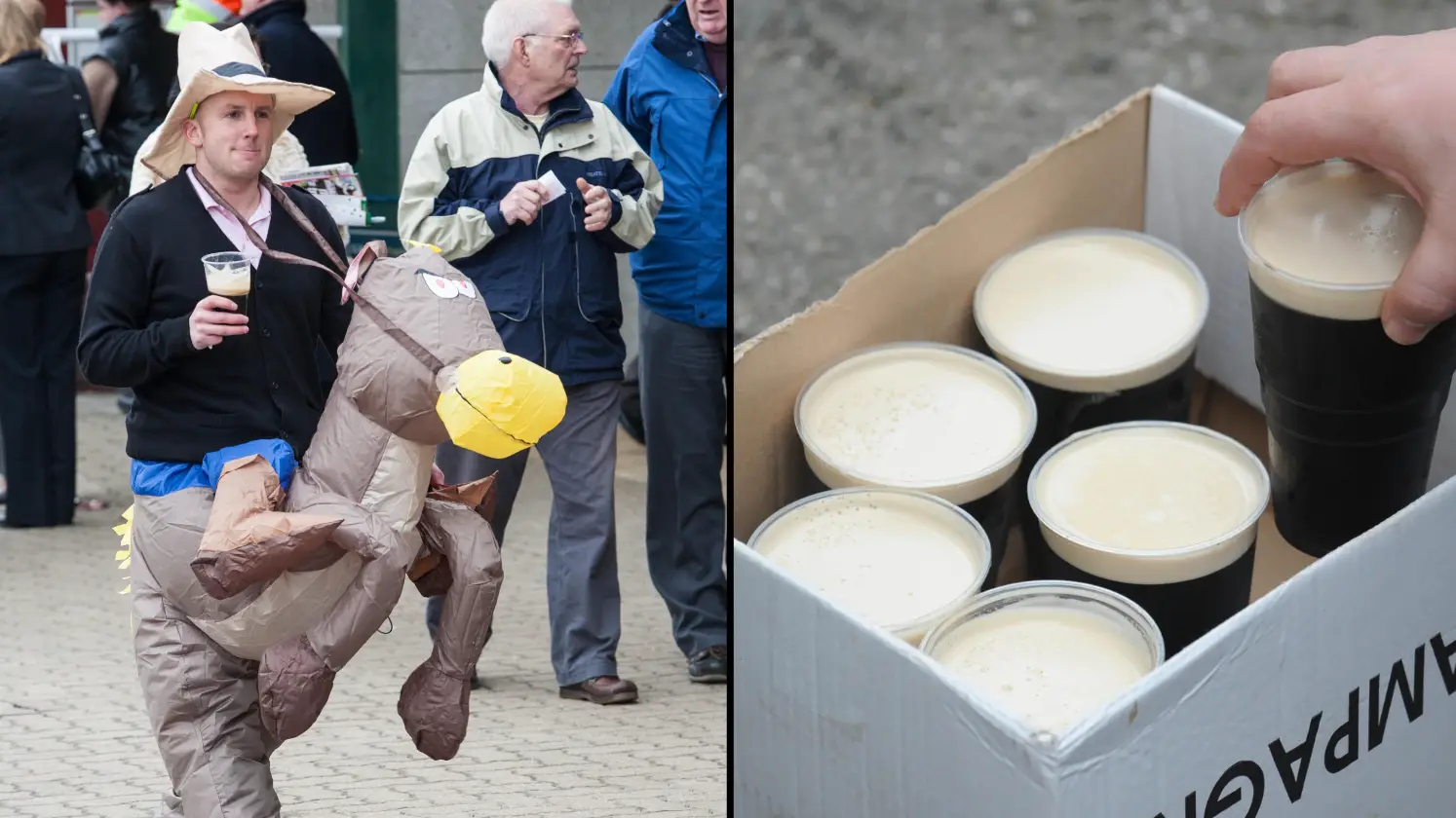 Paul Quayle / Alamy / PA /Alamy