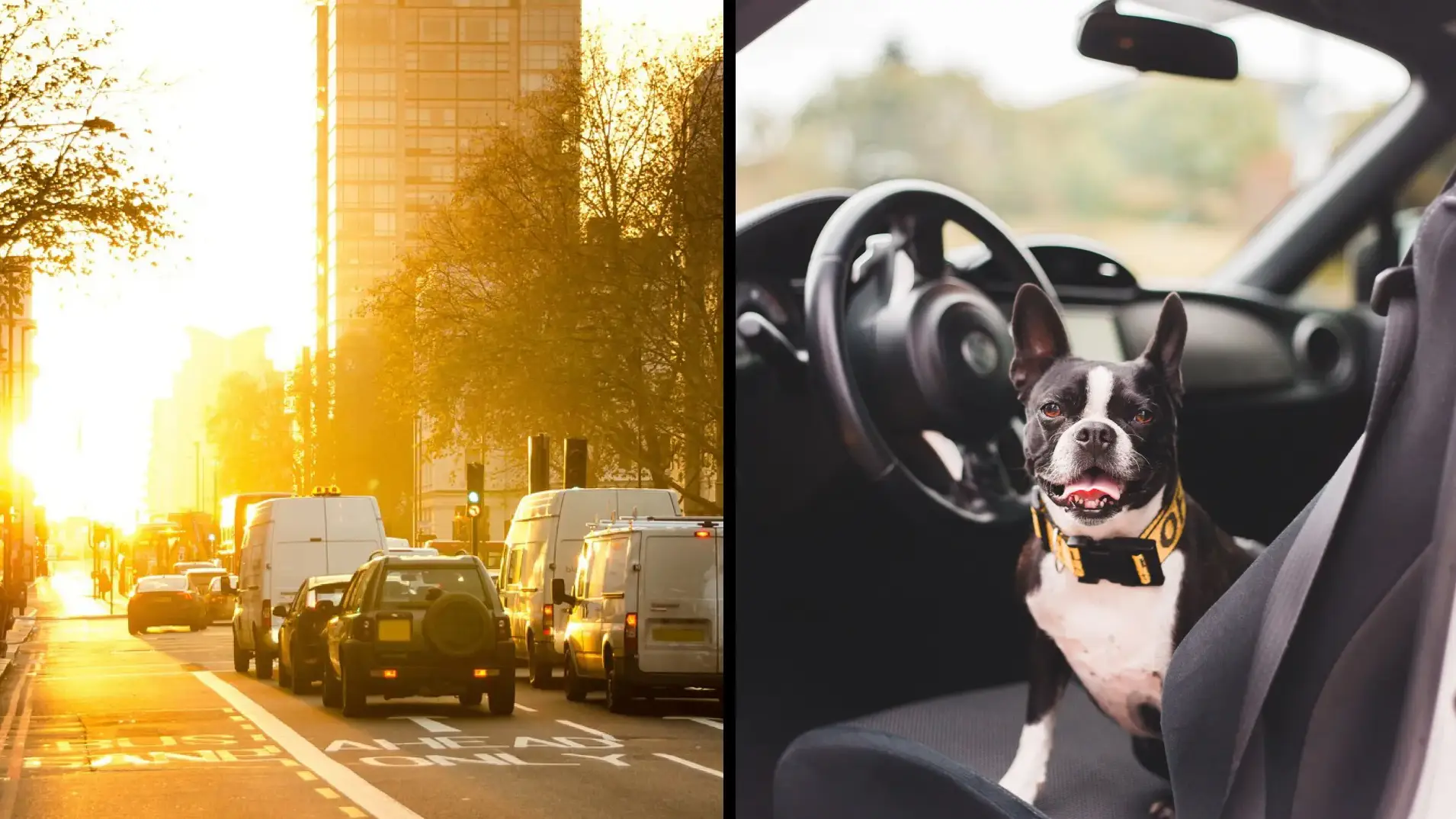 What kind of driver are you? Take our quiz to find out