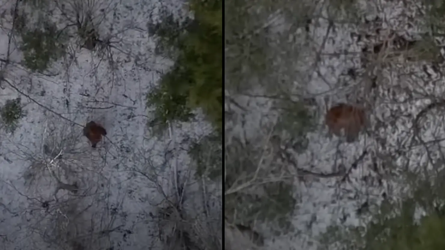 YouTube/Kens Karpentry