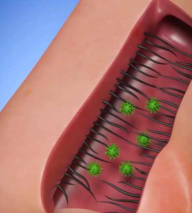 The simulation has been creeping people out. (YouTube/@zackdfilms)