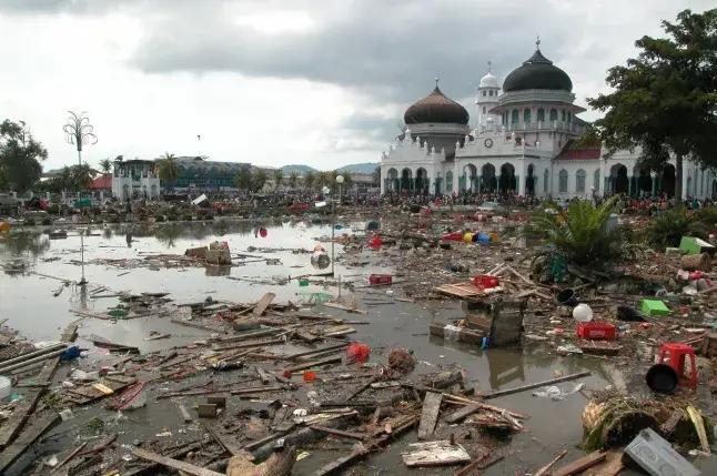 The tsunami is one of the deadliest in recorded history (National Geographic / Disney+)